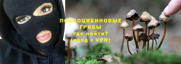 твердый Горняк