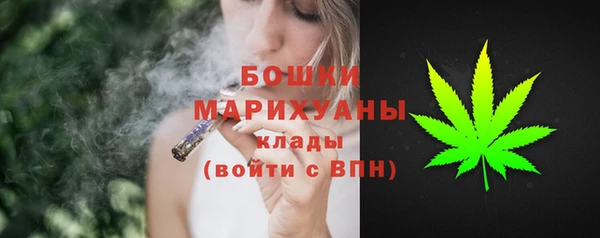 дживик Вязьма