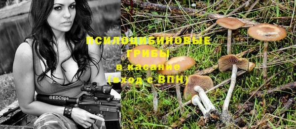 тгк Вяземский