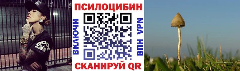 Галлюциногенные грибы мицелий  кракен маркетплейс  Чистополь 