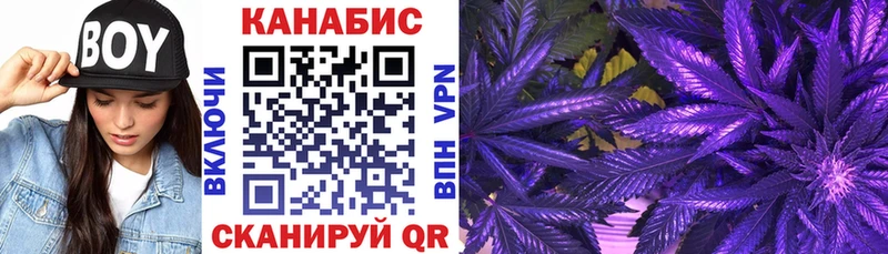 Шишки марихуана SATIVA & INDICA  Чистополь 